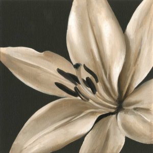 Classical Blooms III by Ethan Harper Oil Painting