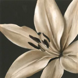 Classical Blooms III by Ethan Harper Oil Painting