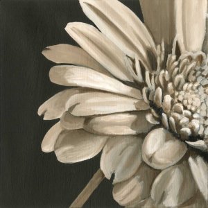 Classical Blooms IV by Ethan Harper Oil Painting