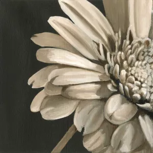 Classical Blooms IV by Ethan Harper Oil Painting