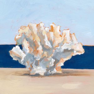 Coral By the Shore II by Ethan Harper Oil Painting