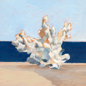 Coral By the Shore IV by Ethan Harper Oil Painting