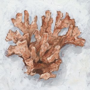 Coral Display I by Ethan Harper Oil Painting