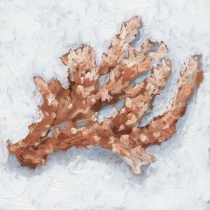 Coral Display II by Ethan Harper Oil Painting