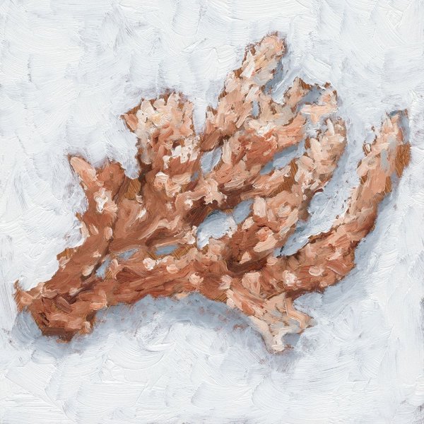 Main Product Photo of Coral Display II Painting by Ethan Harper