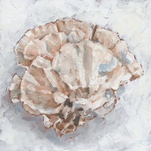 Coral Display III by Ethan Harper Oil Painting