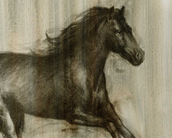 Main Product Photo of Dynamic Stallion I Painting by Ethan Harper