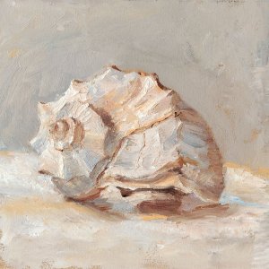 Impressionist Shell Study II by Ethan Harper Oil Painting
