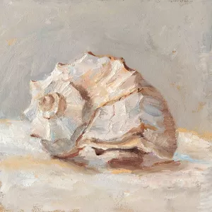 Impressionist Shell Study II by Ethan Harper Oil Painting