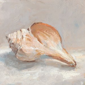 Impressionist Shell Study III by Ethan Harper Oil Painting