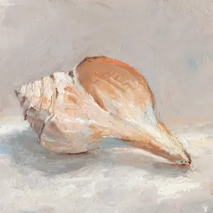 Impressionist Shell Study III by Ethan Harper Oil Painting