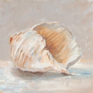 Impressionist Shell Study IV by Ethan Harper Oil Painting