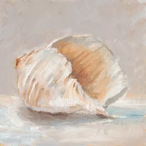 Impressionist Shell Study IV by Ethan Harper Oil Painting