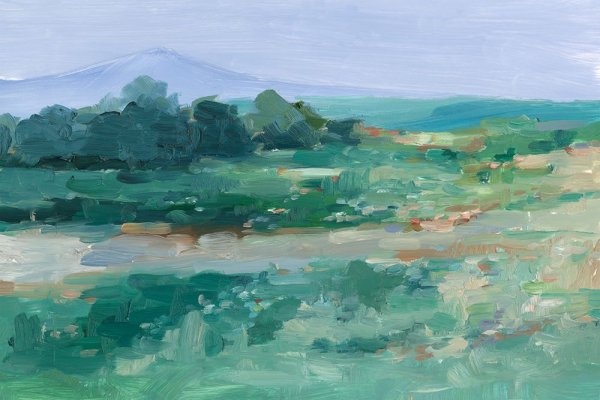 Impressionist Wildflower Field I by Ethan Harper - Hand-Painted Oil Painting Reproduction