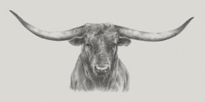 Longhorn Bull by Ethan Harper Oil Painting