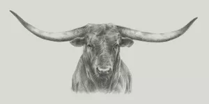Longhorn Bull by Ethan Harper Oil Painting