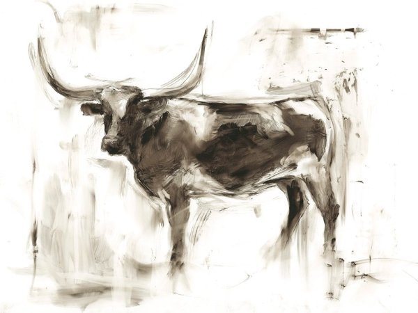 Longhorn Study II by Ethan Harper - Hand-Painted Oil Painting Reproduction