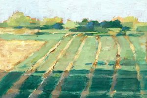 Mid Summer Shadows II Oil painting by Ethan Harper