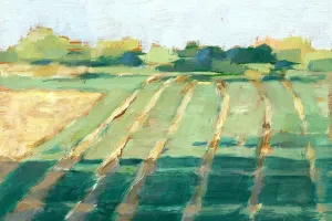 Mid Summer Shadows II by Ethan Harper Oil Painting