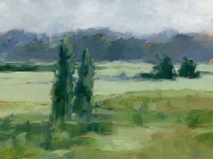 Misty Green Valley I by Ethan Harper Oil Painting