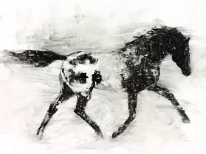 Rustic Appaloosa I by Ethan Harper Oil Painting