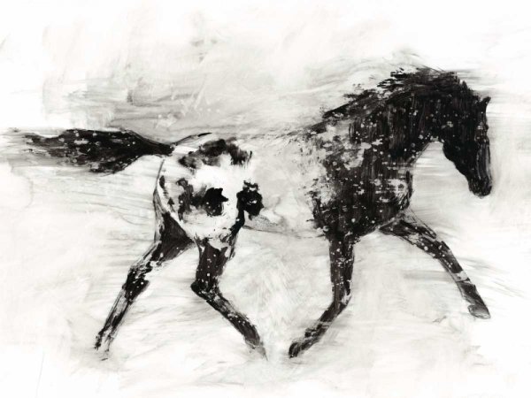 Main Product Photo of Rustic Appaloosa I Painting by Ethan Harper