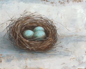 Rustic Bird Nest I by Ethan Harper Oil Painting