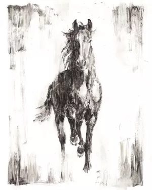 Rustic Black Stallion I by Ethan Harper Oil Painting