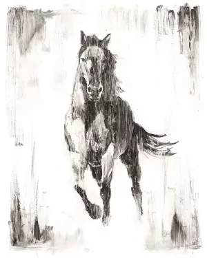 Rustic Black Stallion II by Ethan Harper Oil Painting