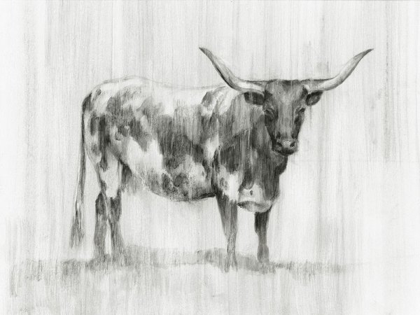 Rustic Bovine I by Ethan Harper - Hand-Painted Oil Painting Reproduction