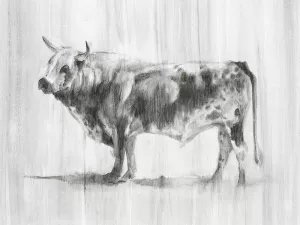 Rustic Bovine II by Ethan Harper Oil Painting