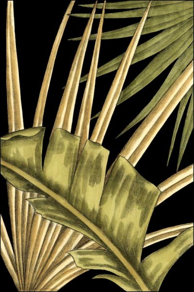 Main Product Photo of Rustic Tropical Leaves III Painting by Ethan Harper