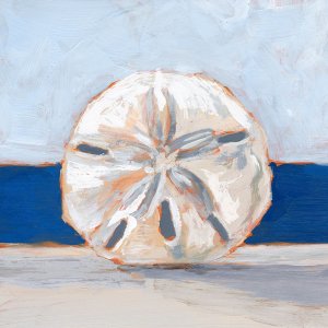 Sand Dollar By the Sea by Ethan Harper Oil Painting