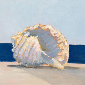 Shell By the Shore II by Ethan Harper Oil Painting