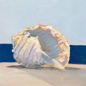 Shell By the Shore II by Ethan Harper Oil Painting