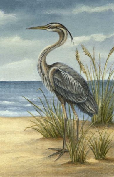 Main Product Photo of Shore Bird II Painting by Ethan Harper