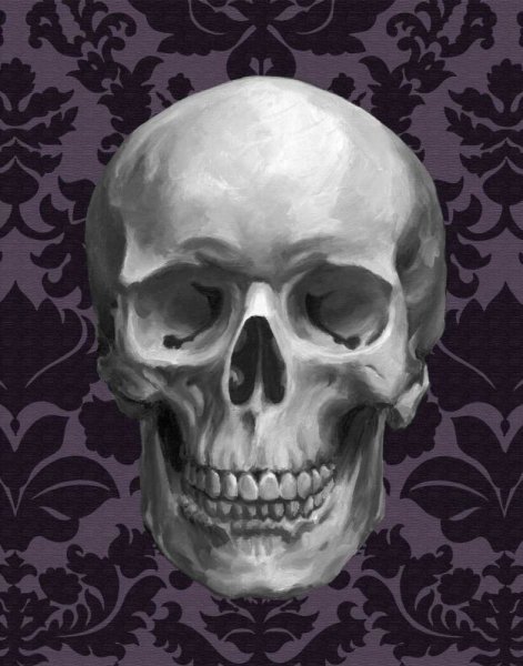 Skull on Damask by Ethan Harper - Hand-Painted Oil Painting Reproduction