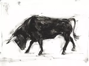 Toro I Oil Painting by Ethan Harper - Bestsellers