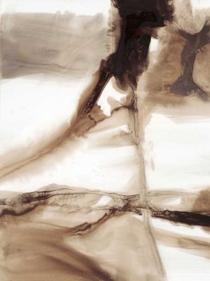 Variegated Abstract I by Ethan Harper Oil Painting