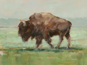 Where the Buffalo Roam II by Ethan Harper Oil Painting