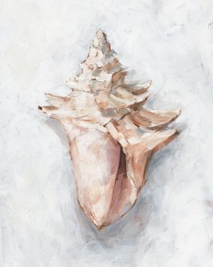 White Shell Study I by Ethan Harper Oil Painting