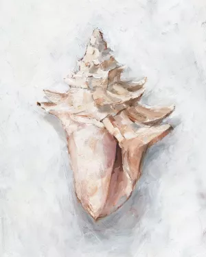 White Shell Study I Oil Painting by Ethan Harper - Bestsellers