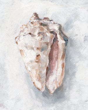 White Shell Study II by Ethan Harper Oil Painting
