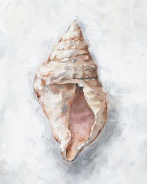 White Shell Study III by Ethan Harper Oil Painting