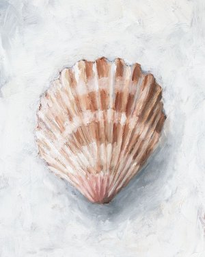 White Shell Study IV by Ethan Harper Oil Painting