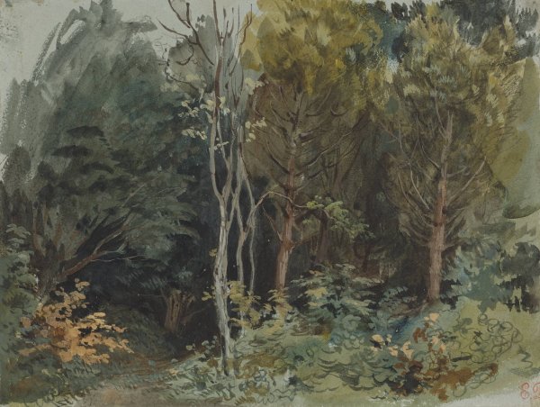 The Edge of a Wood at Nohant  by Eugene Delacroix - Hand-Painted Oil Painting Reproduction