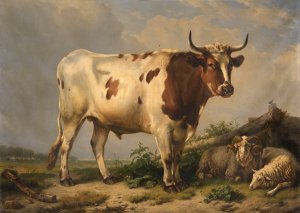 Bull by Eugene Joseph Verboeckhoven Oil Painting