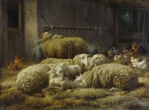 Sheep And Chickens In A Barn by Eugene Remy Maes Oil Painting