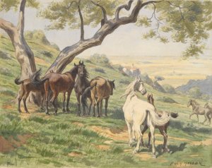 Horses in Field, Tivoli by Evart Louis Van Muyden Oil Painting