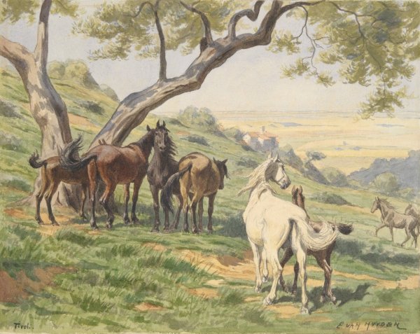 Main Product Photo of Horses in Field, Tivoli Painting by Evart Louis Van Muyden